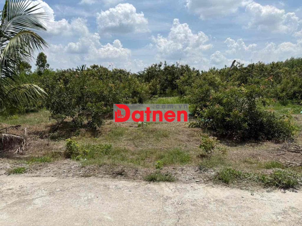 Bán đất biển xã bông trang dt:245m2 có 80m2 thổ cư ngang 10mx25m