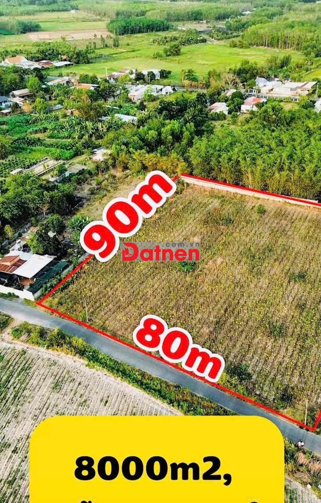 Bán đất gần MT Tỉnh Lộ 7 An Nhơn Củ Chi- DT 8000m2 chỉ hơn 15 tỷ