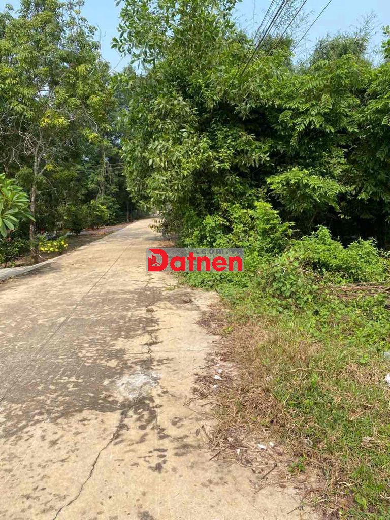 Bán đất 1/ hương lộ 10 hẻm xe hơi cách lộ lớn 50m