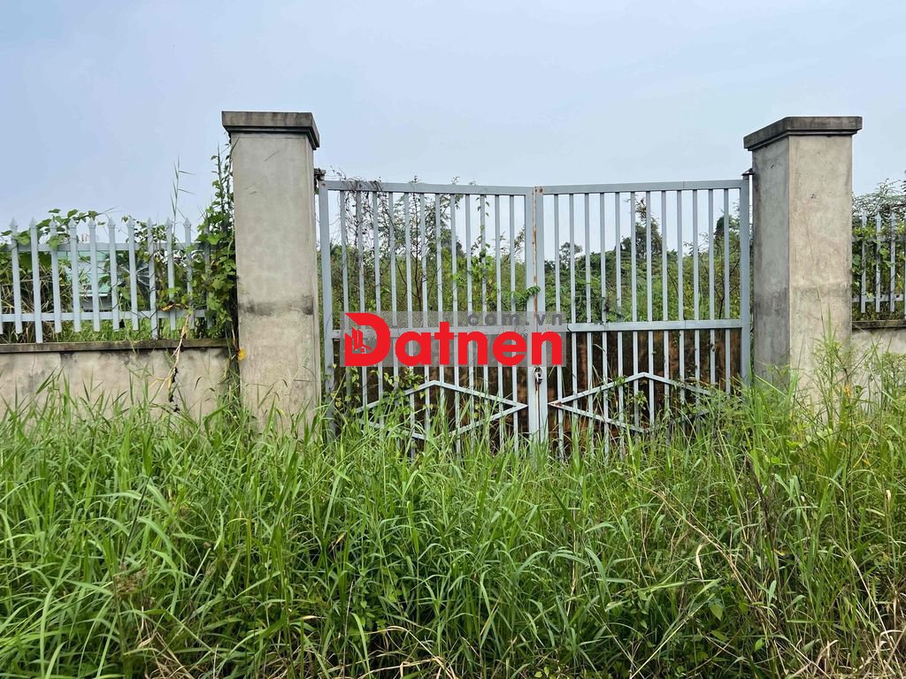 Đất 1/ Nhị Bình 15 Dt: 22x80 tổng 1515m Đất trồng cây lâu năm Giá: 9t