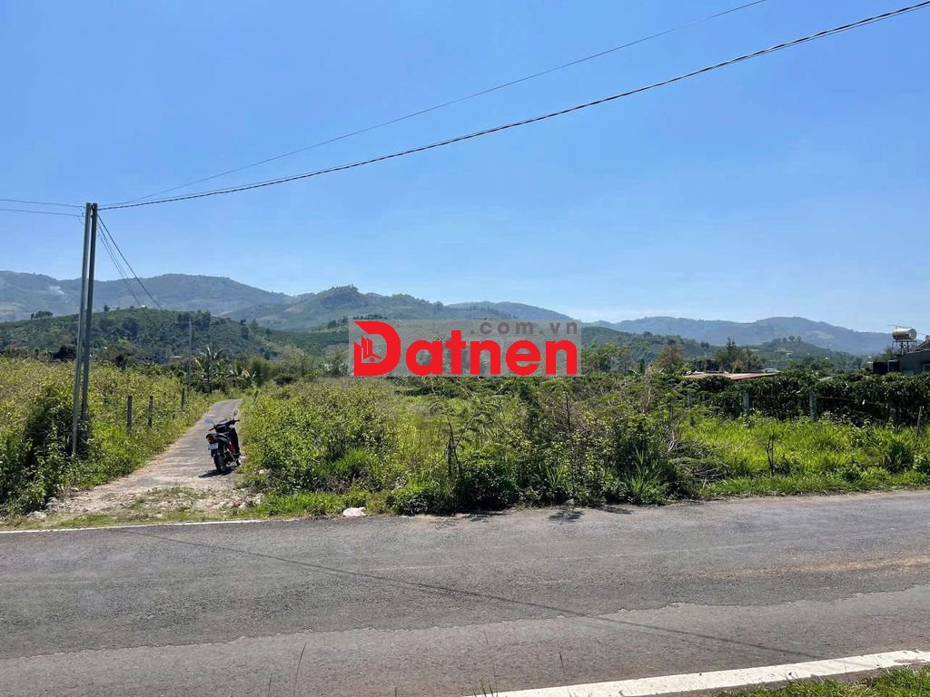 Bán đất mặt tiền giá cực rẻ
