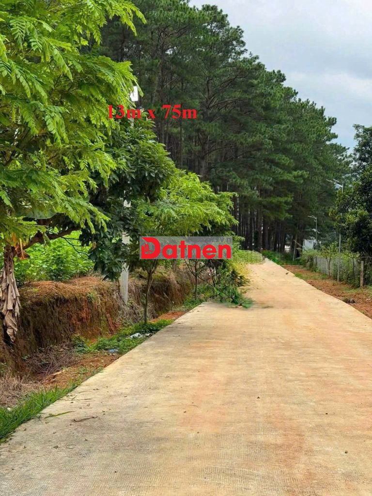 1.000m2 ĐẤT NAM BAN -VEN ĐÀ LẠT CẠNH RỪNG THÔNG 700TR(FULL), ĐƯỜNG LỚN