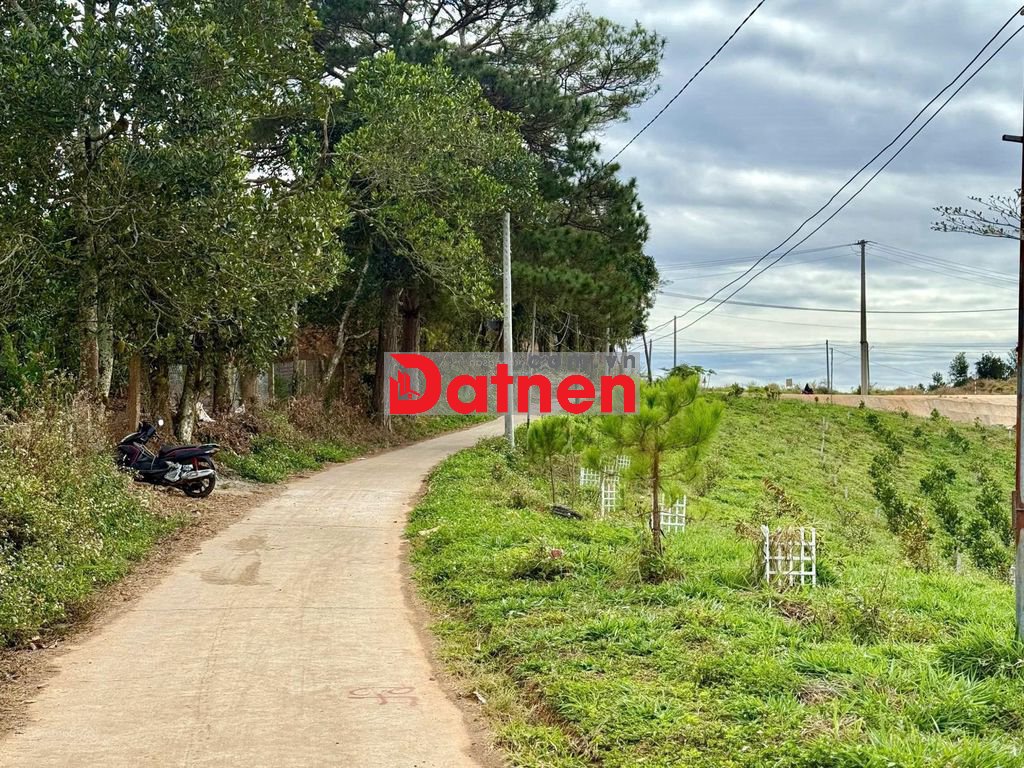 344m2 đất Nam Ban, ven Đà Lạt sẵn 100m2 thổ, cách đường nhựa lớn 70m