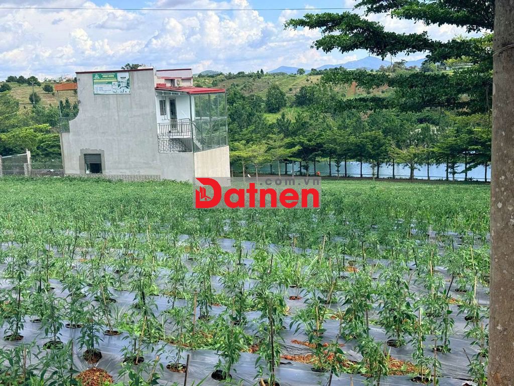 ĐẤT NGHĨ DƯỠNG PARTHILL LỘC TÂN