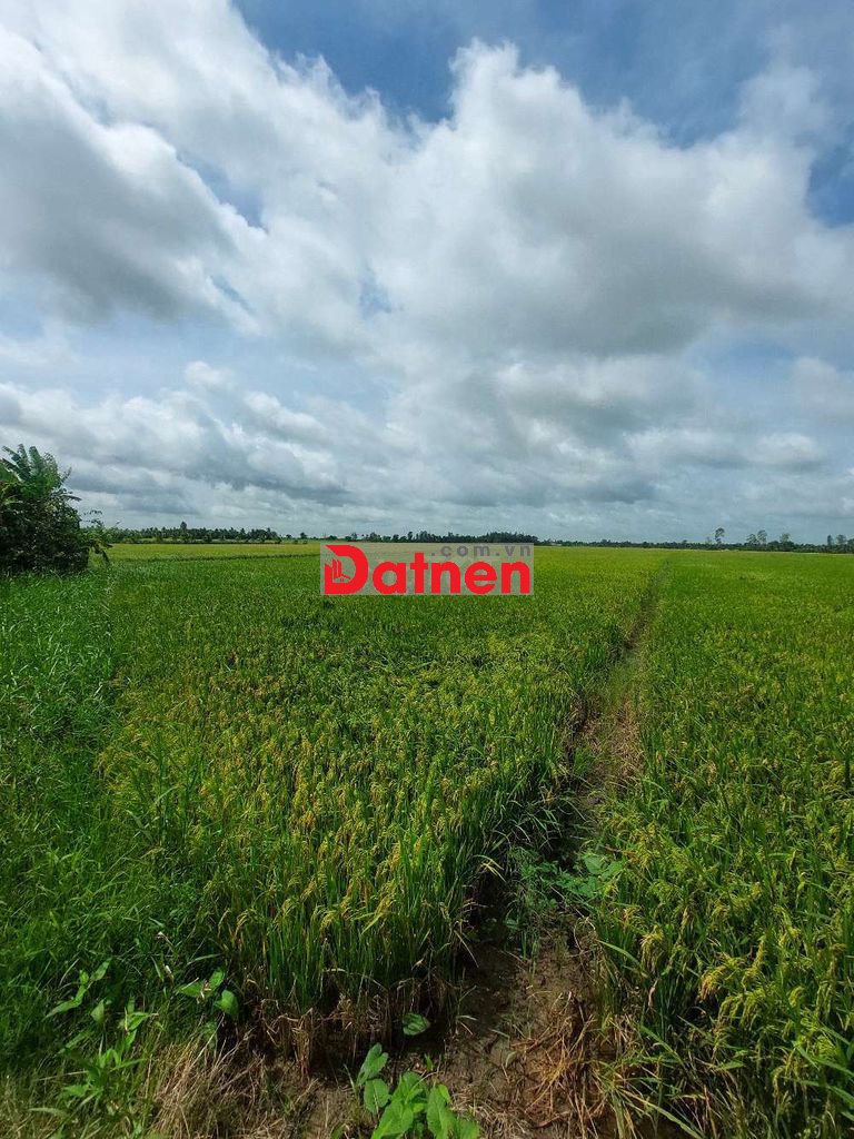 Cần Bán đất Châu Thành Sóc Trăng