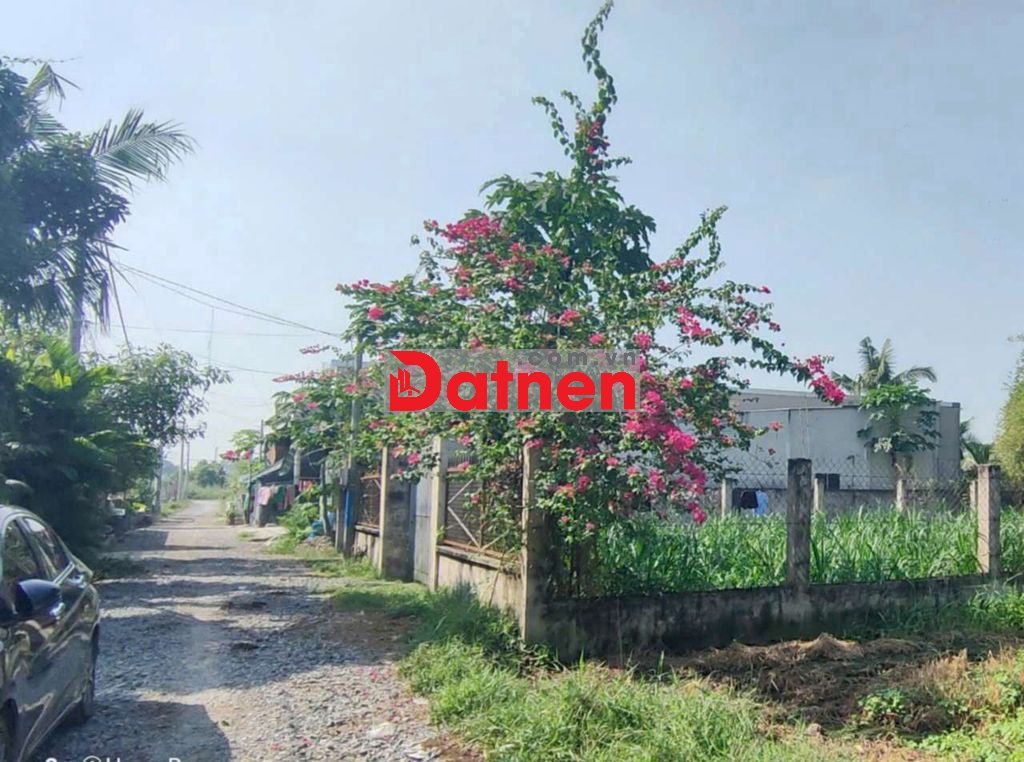 1/ Nguyễn Thị Dưỡng (lô Gốc) giá Ngân Hàng