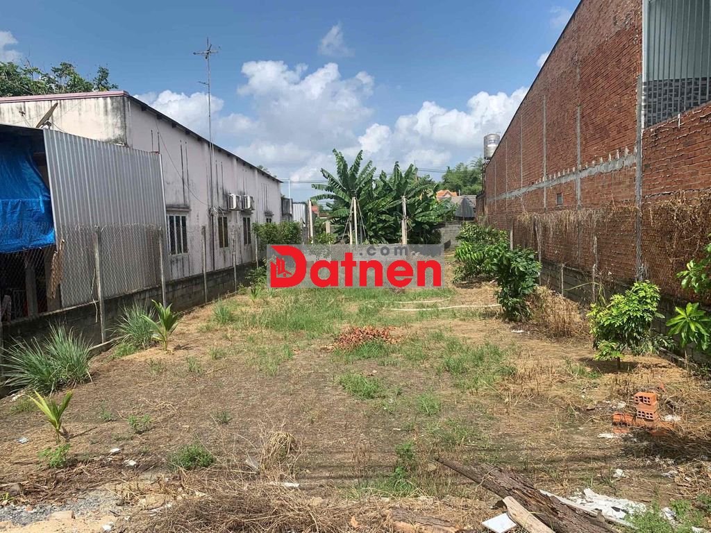 353m2 MT Nhựa - SHR 340m2 Thổ Cư xây dựng tự do