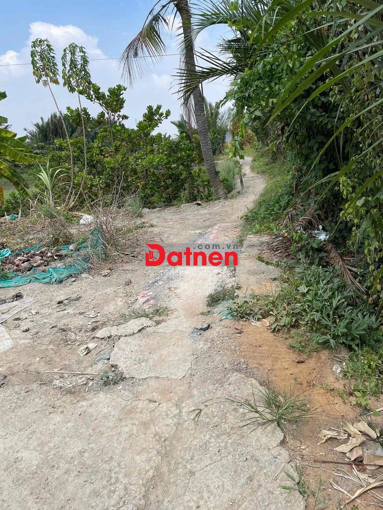 CHÍNH CHỦ CẦN BÁN GẤP LÔ ĐẤT 300m² – ĐƯỜNG TÁM PHÀM, XÃ PHƯỚC LỘC, HUY