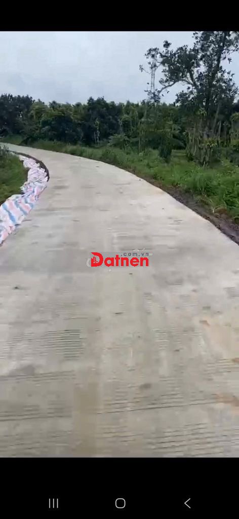 Hot Chính chủ cần bán gấp đất rẫy cà phê, cách Gia Nghĩa 10 phút đi xe