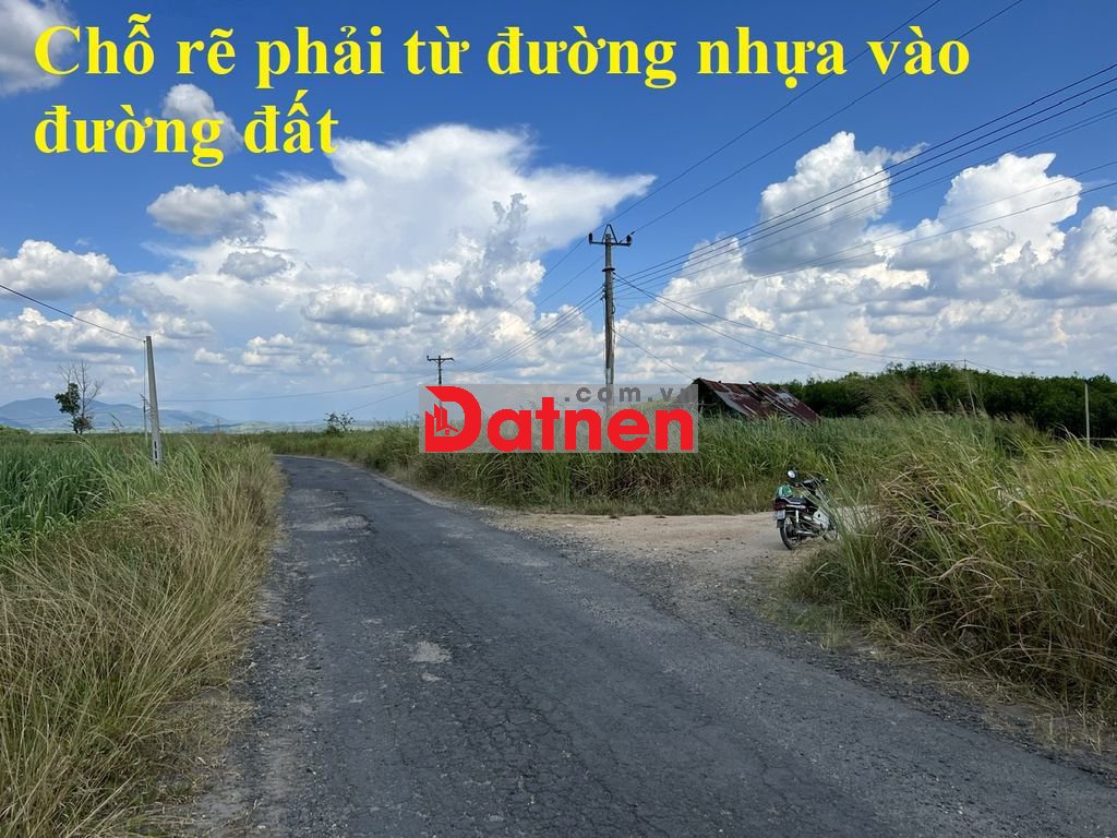 🌳 🌳 7.281 m2 đất trồng mía tại Daklak 🌳 🌳