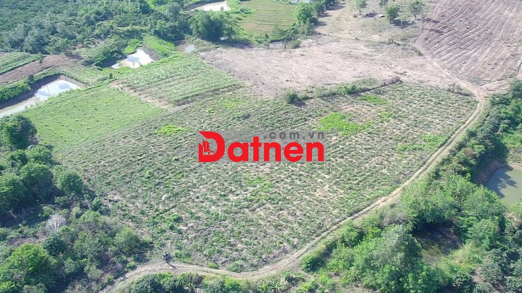 🌳 🌳 7 sào đất tại huyện Ea Kar, tỉnh Daklak 🌳 🌳
