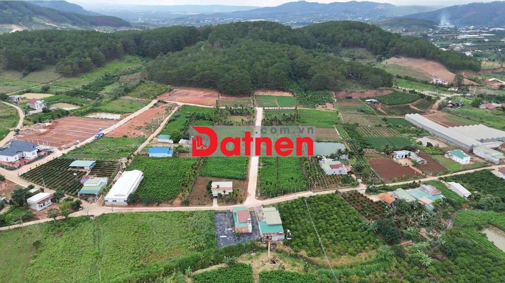 15 LÔ ĐẤT NGHỈ DƯỠNG VEN ĐÀ LẠT – SỔ HỒNG RIÊNG