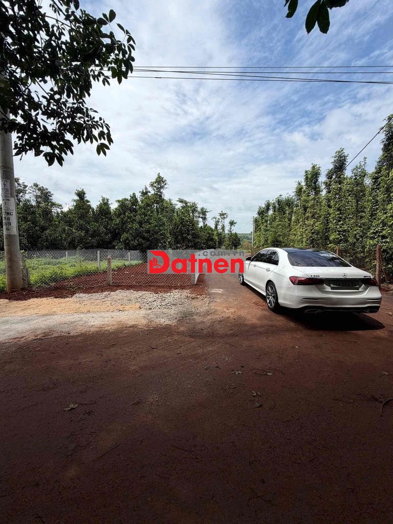 530 TRIỆU – ĐẤT TRỒNG MÍT 51M MẶT TIỀN ĐƯỜNG | Xã Bình Giã, TP.HCM.