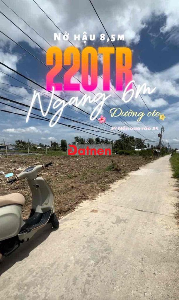 🌿 220TR/LÔ – THỔ CƯ GIÁ ĐẸP Tân Phú, Tân Phú Đông, Tiền Giang