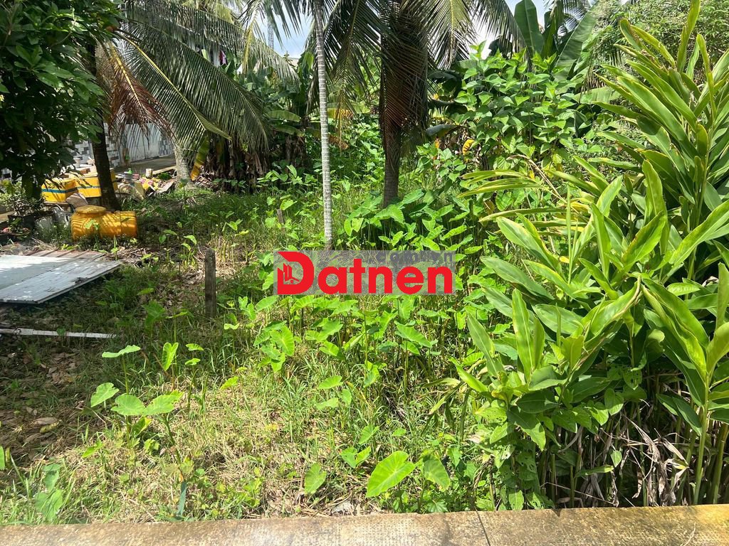 Nhị Bình -- Hóc Môn Đường đẹp Đất đẹp không mồ mả, không ngập nước