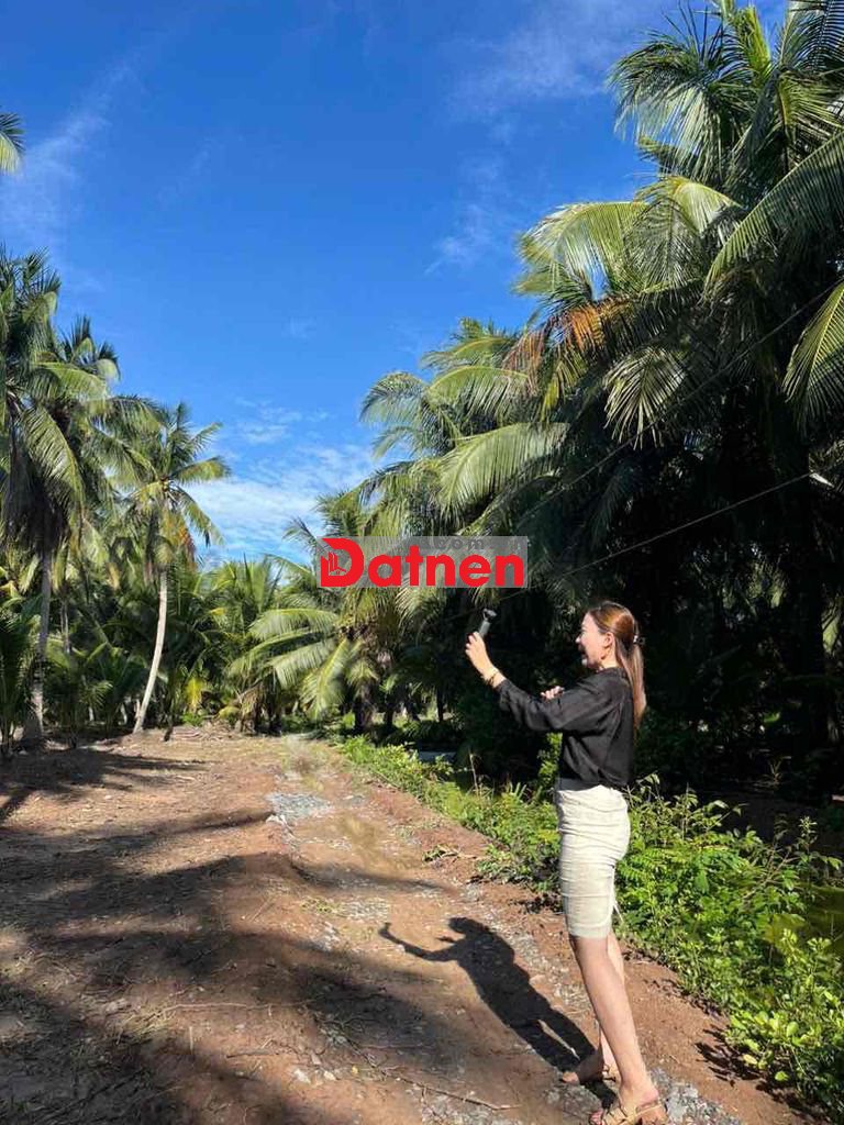Bán đất Vườn dừa có thổ cư + gần bến phà Bình Ninh, 729m2