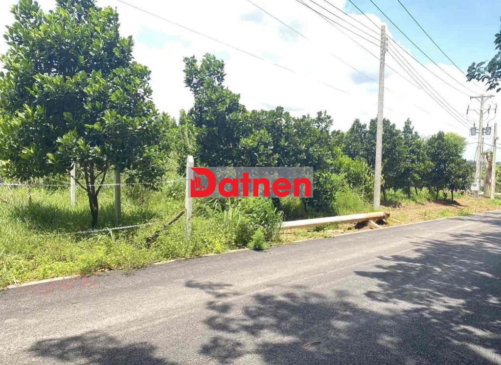 Bán Vườn Mít
