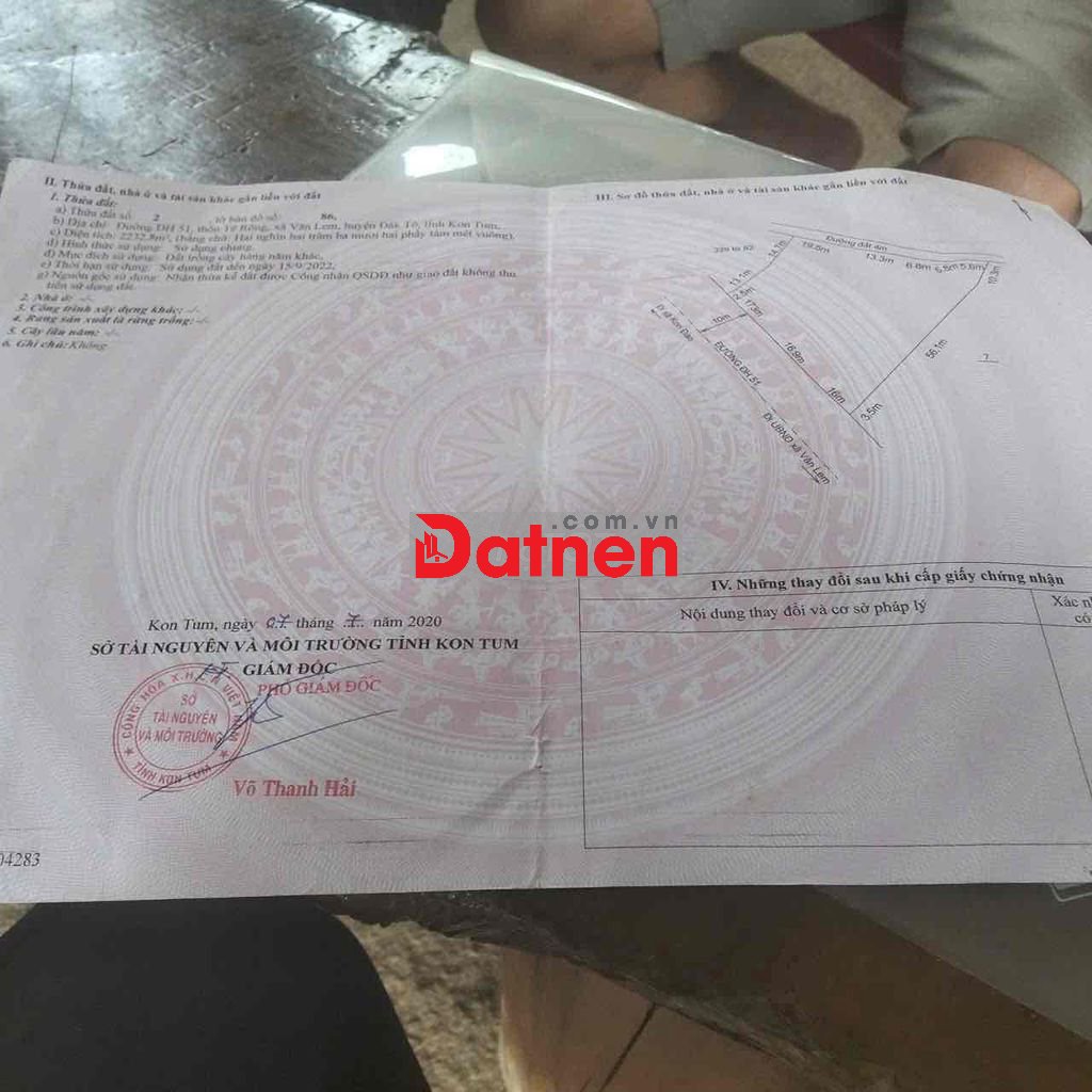 Bán đất trồng cây lâu năm