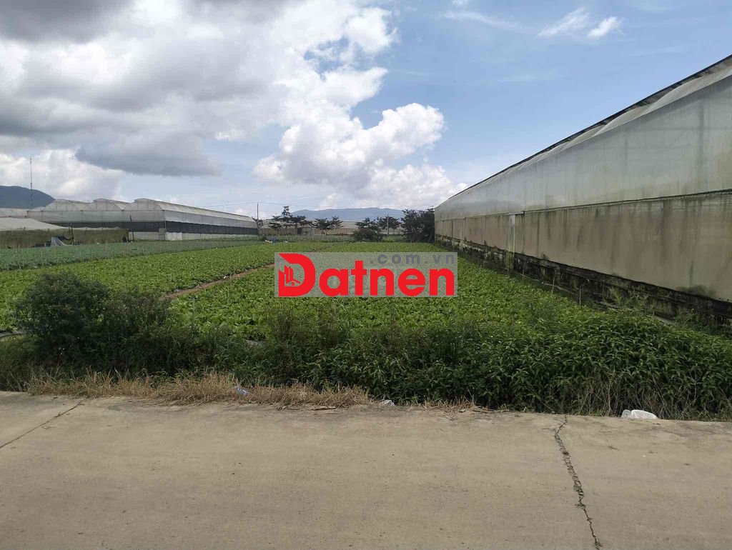 Đất nông nghiệp khoảng 2.000m², mặt tiền Âu Cơ, Thạnh Mỹ, Đơn Dương