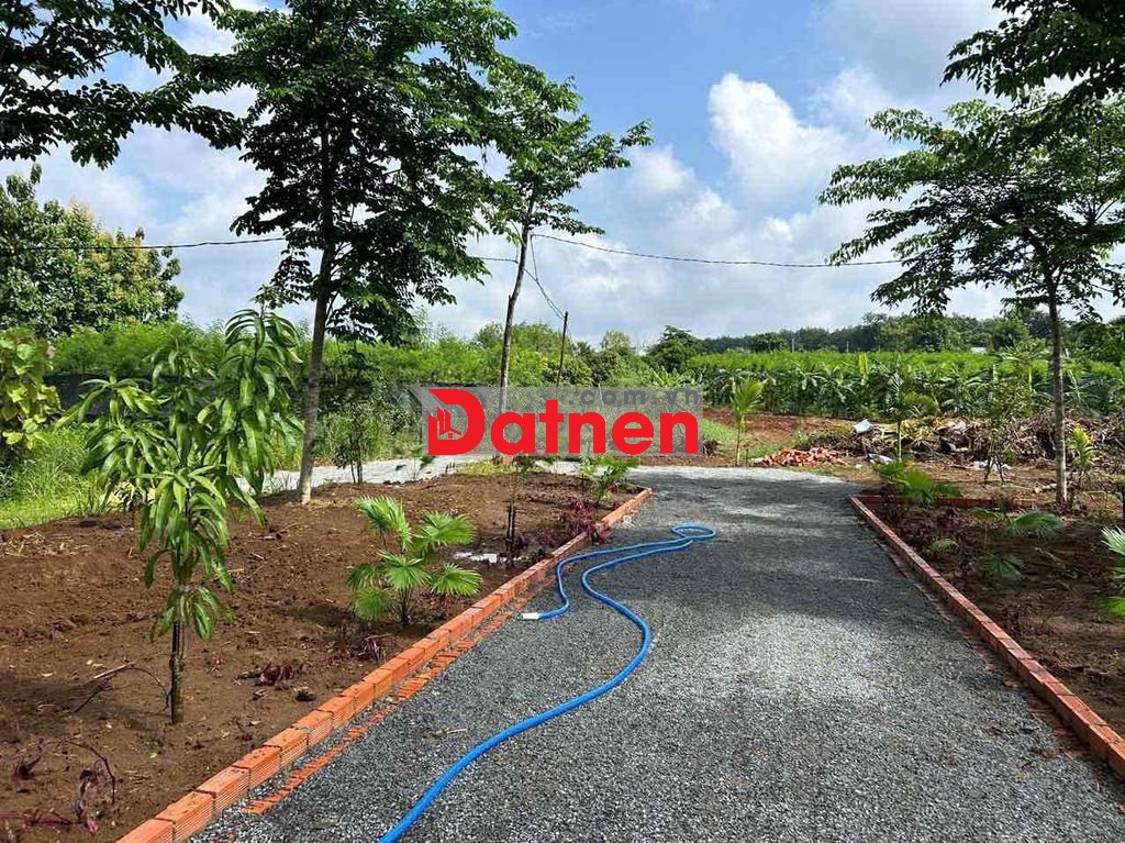 MẢNH VƯỜN GIÁ NGỘP