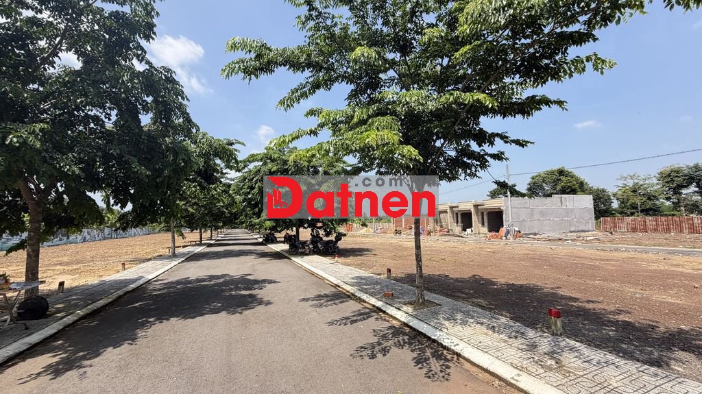 Săn đất Trảng Bom giá F0, cơ hội x2 x3 trong tầm tay sổ sẳn, công ch..