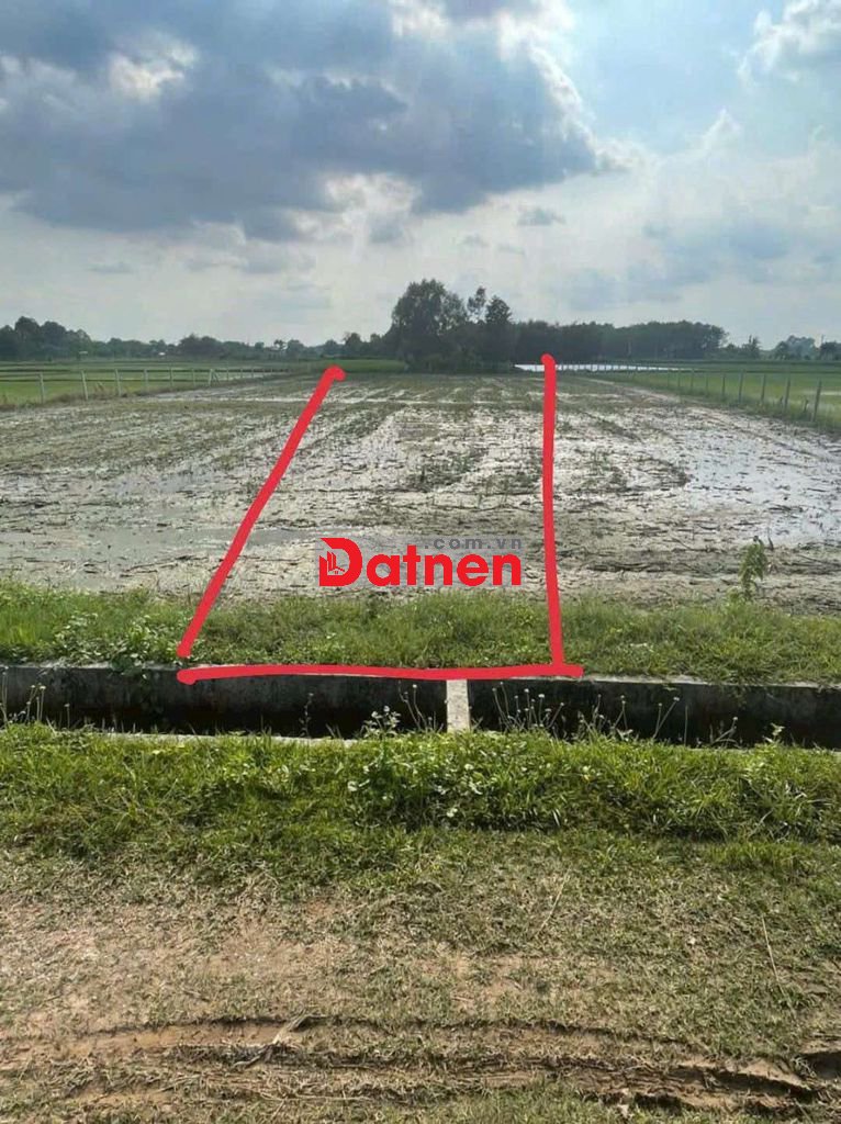 đất Xã thái Mỹ 12X58 , Tổng 600m , đường lớn