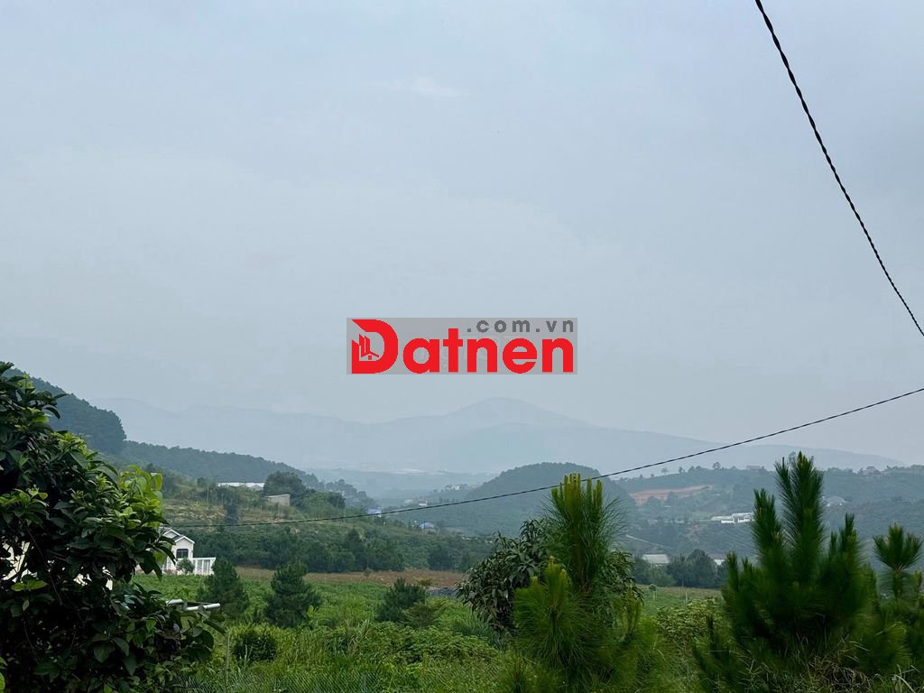 Đất xã Nam Hà sẵn 105m2 thổ cư, diện tích 317m2 chỉ 550 triệu, SHR
