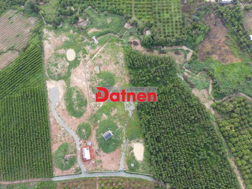 cần bán 2mẫu1 đất vườn cây ăn trái