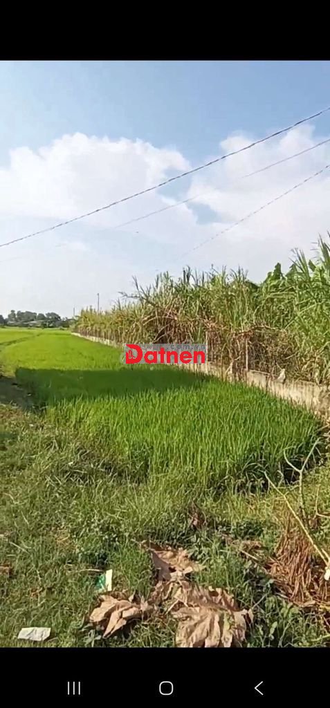 cần bán đất hòa khánh đông long an
