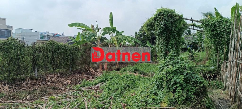 Đất đường xe hơi thông, gần trường Tiểu Học Bình Mỹ, 8,5x25m.