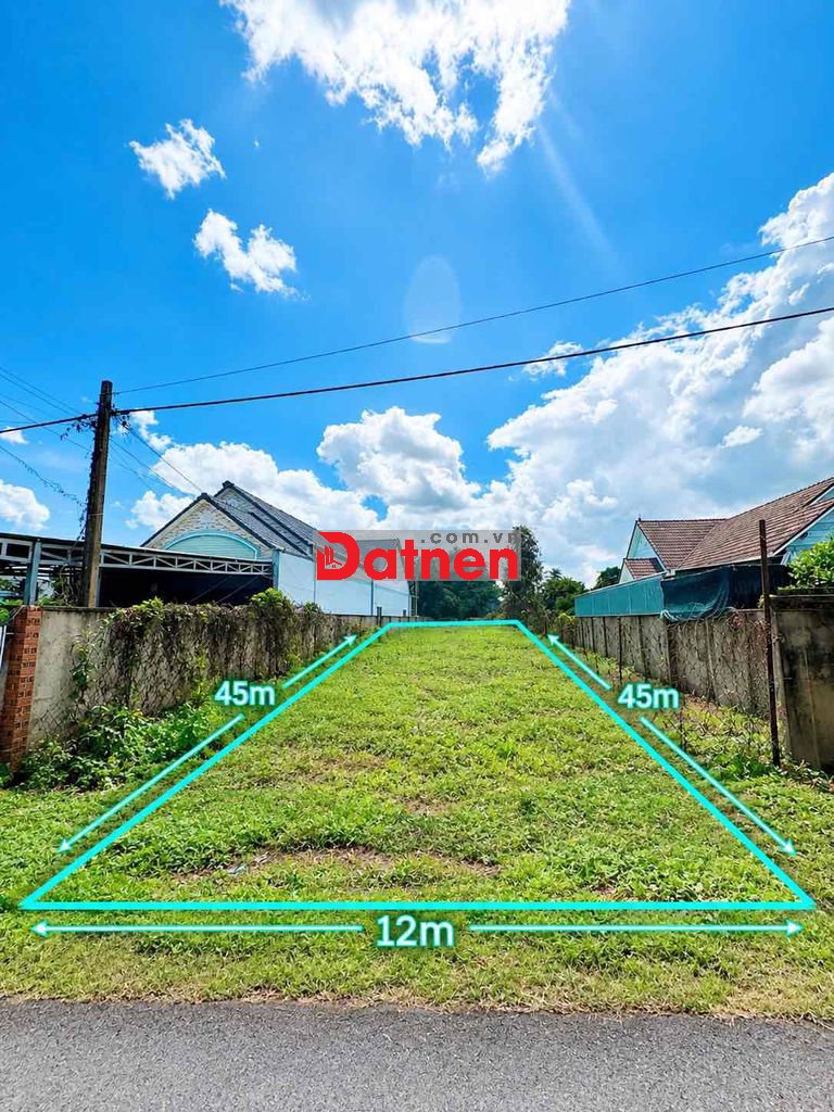 Đất 535m2 - 300m2 THỔ CƯ (12x45m) SỔ HỒNG RIÊNG