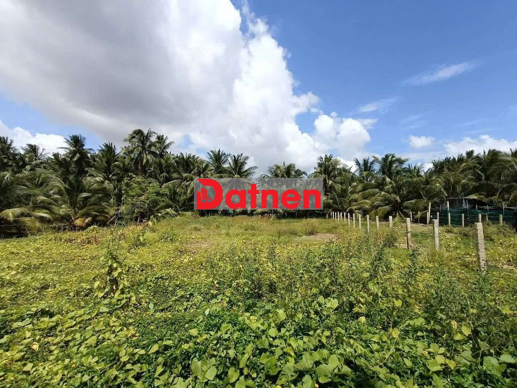 Bán Nền Đất Xã Long Bình Điền
