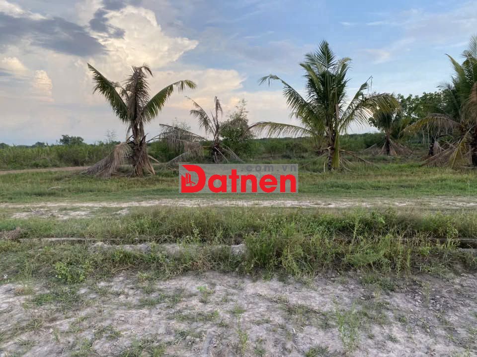 Cần bán gấp đất công 1136m2