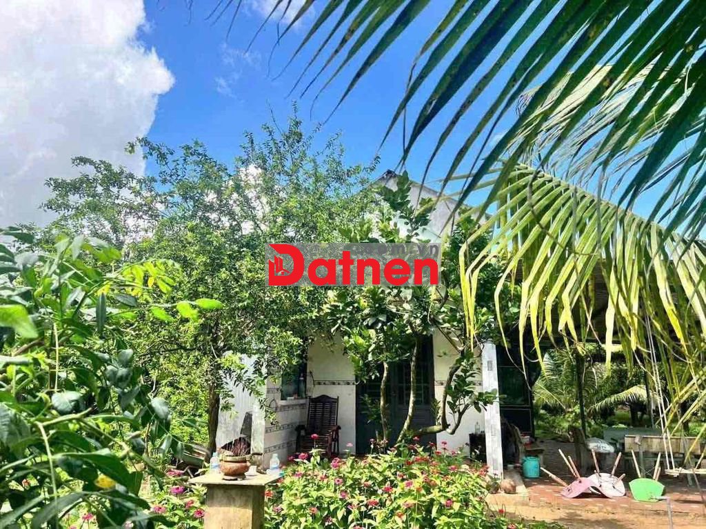CHỦ BÁN NHANH NHÀ VƯỜN CÂY TRÁI