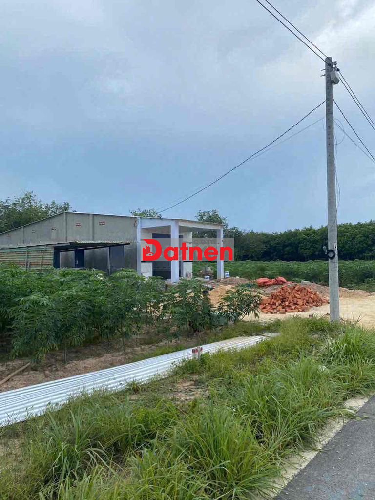 Đất TPHCM