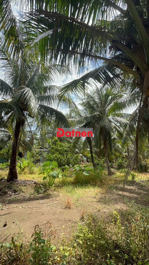🌿 ĐẤT ĐẸP – GIÁ RẺ – GẦN TP.HCM - CHỈ 155TR