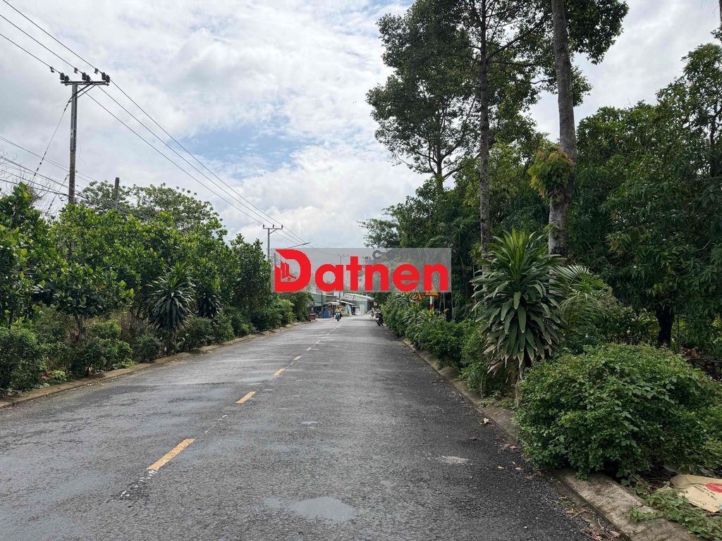 Ngân hàng thanh lý lô đất đường 3/2, thị trấn Mỹ Thọ, Cao Lãnh, ĐT