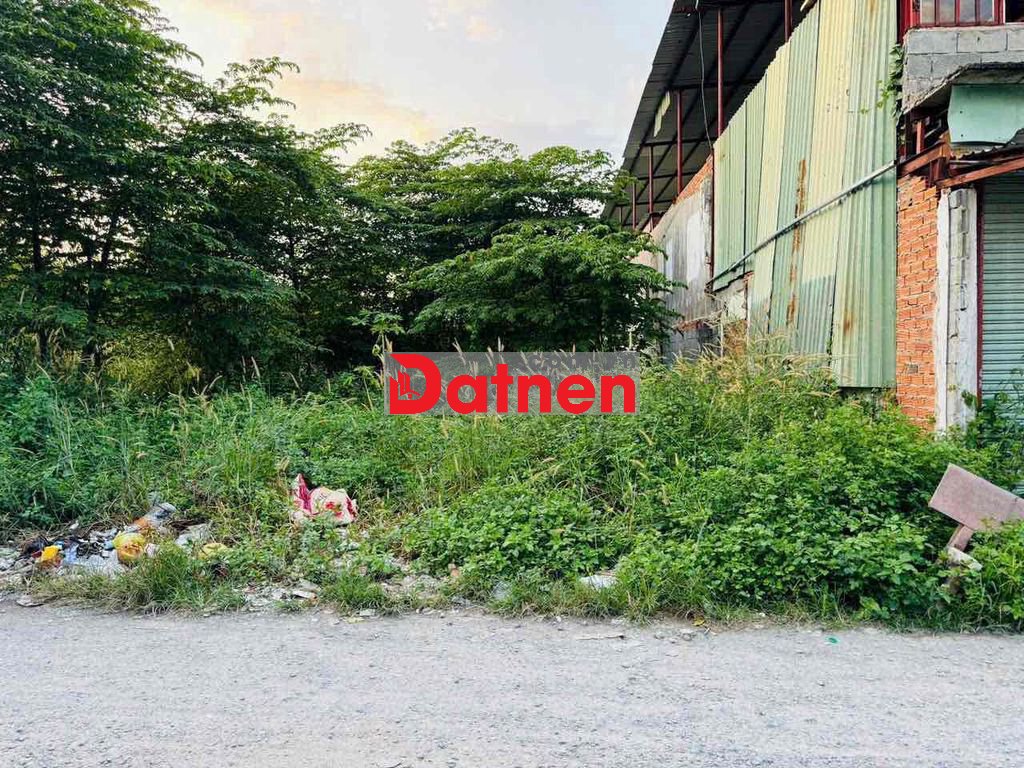 Đất ngộp thổ cư 120m2 hơn 1t shr