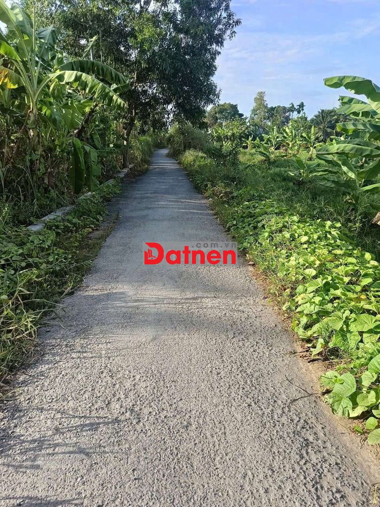 bán nền rộng