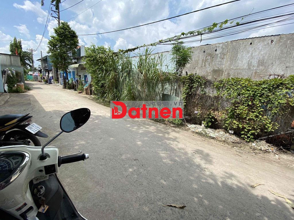 🔥 BÁN NHANH ĐẤT 80M² ĐÔNG THẠNH – HÓC MÔN | SỔ RIÊNG