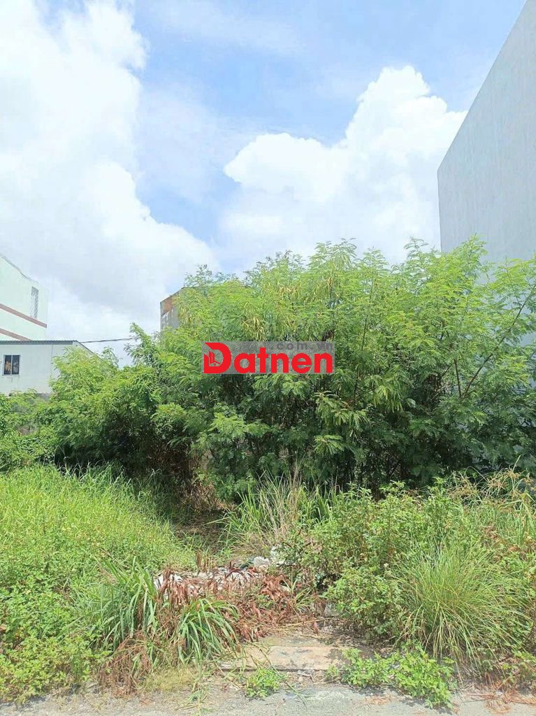 Đất 5,1x16 đường nhựa 7m thông