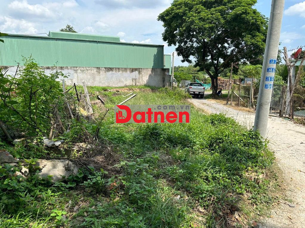 CHÍNH CHỦ BÁN ĐẤT SẴN SỔ ĐƯỜNG ÔTÔ TỚI ĐẤT TẠI THUẬN AN-BÌNH DƯƠNG