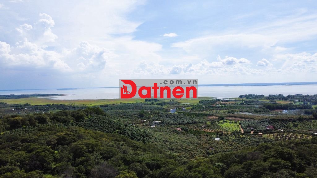 Bán 2 mẫu (20,000m²) đất có 300m2 thổ cư