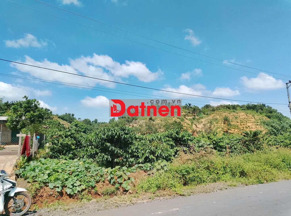 Bán lô đất MT gần 40m đường TL683, xã Đắk Sắk, H. Dăk Mil, ĐắkNông cũ