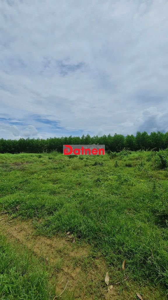 Bán 5.700m2 đất trồng cây ven sông - 1 tỷ