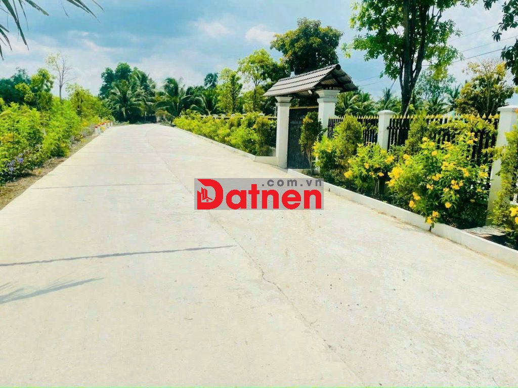 450 triệu hết sổ 1000mv ( 20 x50 ) đường 7 chỗ Thạnh Hoà - Bến Lức