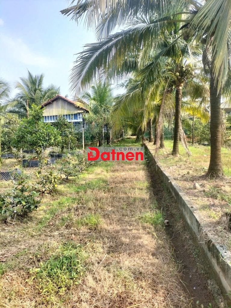 Bán đất 4685m2 có thổ cư Nhơn Trạch Đồng Nai