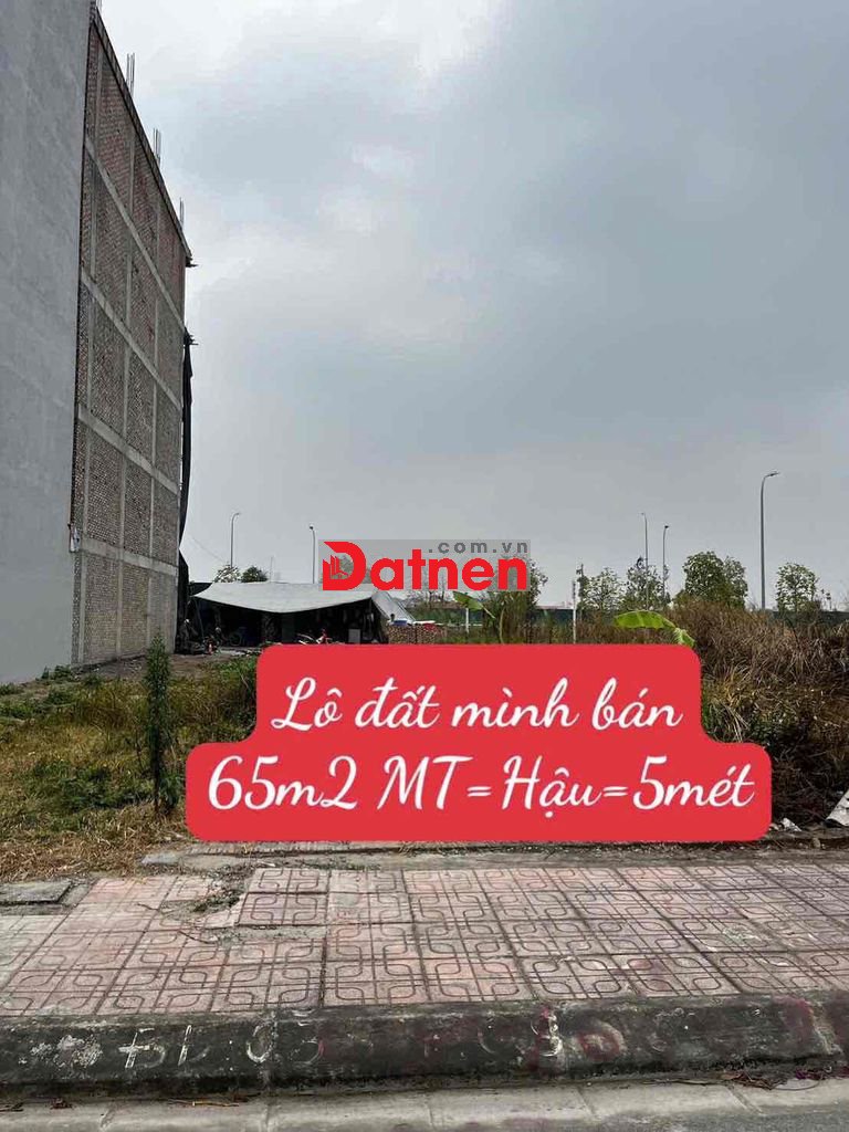 bán đất phân lô đấu giá cự khối