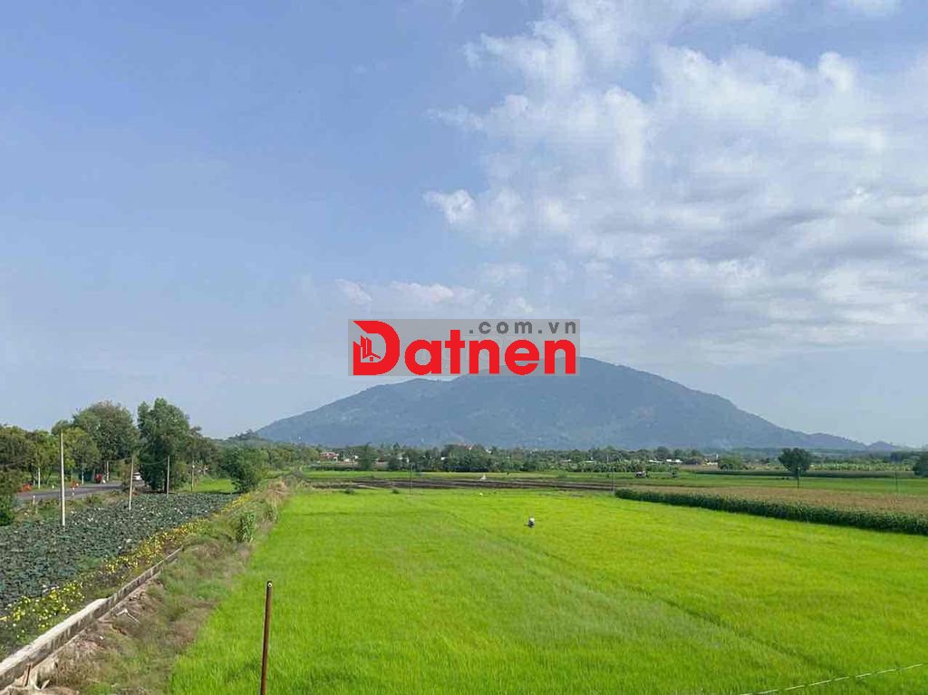 Bán 6796,5m2 đất lúa ngay chợ Lang Minh,sát đường DT765 chỉ 1,4 tỷ