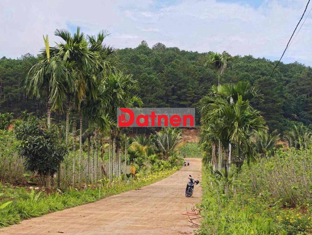Lô góc 2 mặt tiền, dt 457m thôn 6, gia lâm, tt Nam Ban 10mx35m, 1,5 tỷ